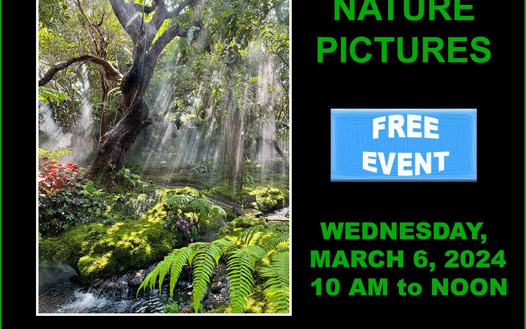 Chiang Mai Photographers – Nature Pictures