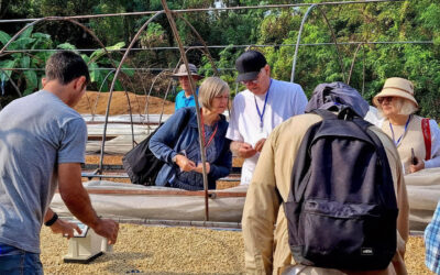 From Crop to Cup – An Excursion to Lanna Coffee