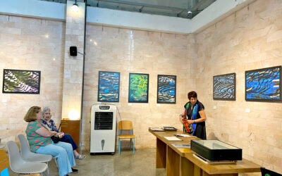 Artist Annelie Hendriks Rice Fields Photos