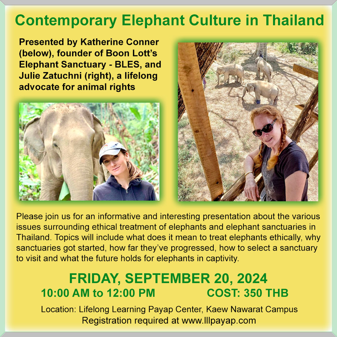 Contemporary Elephant Culture in Thailand Ad