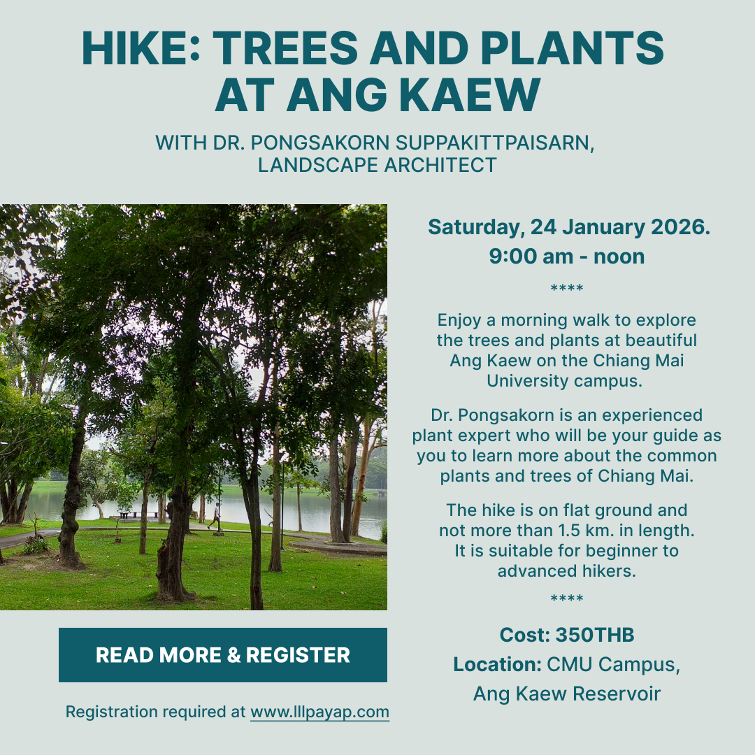 Hike: Trees and Plants at Ang Kaew