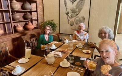 Excursion to Araksa Tea Plantation