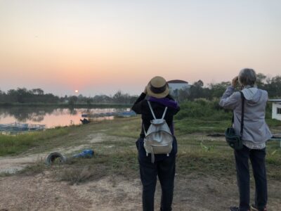Birding Excursion in Chiang Mai Thailand