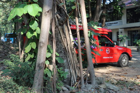 Tree roots and green leaves in the foreground, with a red songthaew (shared taxi)
