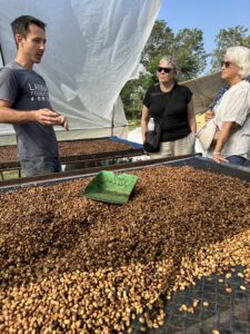 Coffee Bean Drying Process