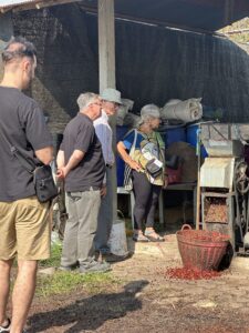 Coffee Cherry Processing Demonstration