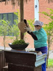 A tea factory worker, wearing a mask and gloves, stirs fresh tea leaves in a large wok over heat as part of the processing step. This image demonstrates the traditional method of preparing tea leaves after plucking at the factory.