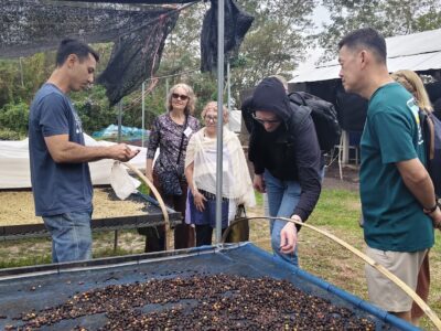 Participants observe coffee cherries drying at the Mae Jo warehouse as Richard explains the careful processing from pulping to grading