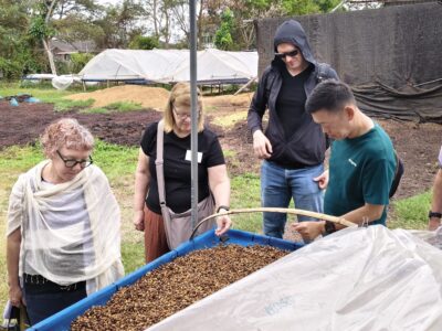 Lifelong Learning participants examine a raised drying bed filled with fermenting coffee cherries at a Lanna Foundation facility.