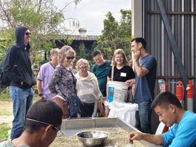 Participants gather around an indoor metal sorting table to watch local workers hand-sort green coffee beans.